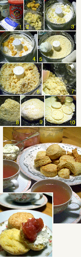 scone_2007_268